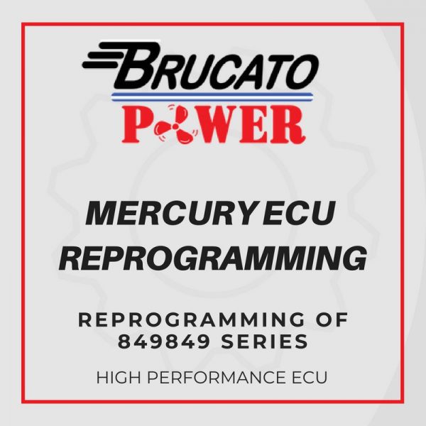 Fuel Injector Cleaning & Calibration Bruato FIS Brucato Power