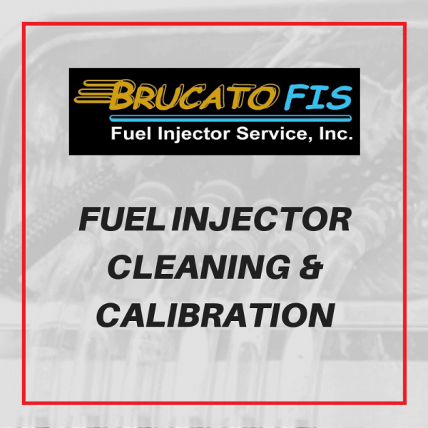 Fuel Injector Cleaning & Calibration Bruato FIS Brucato Power